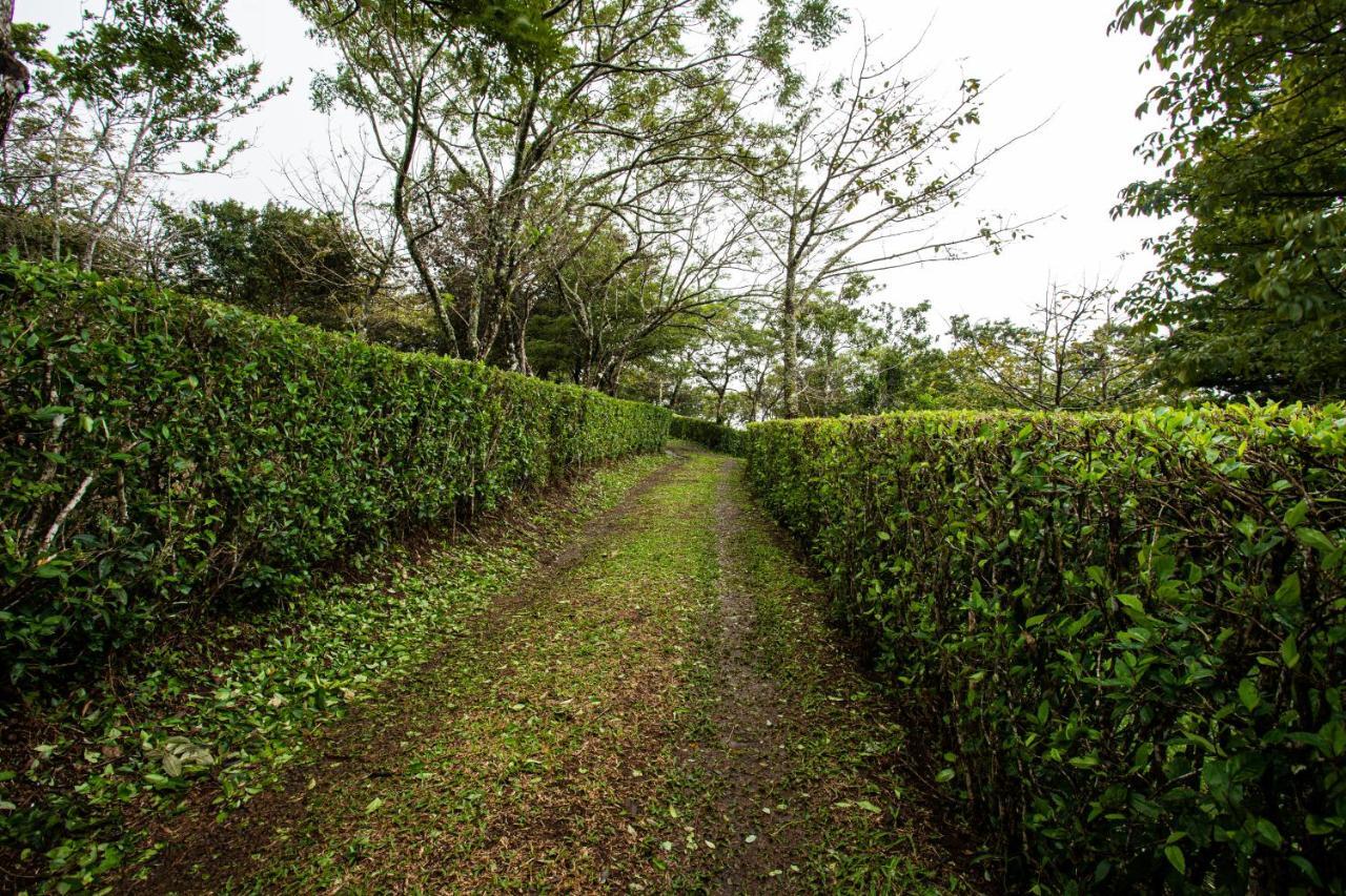 Pochote Lodge Guayabo  Exterior photo
